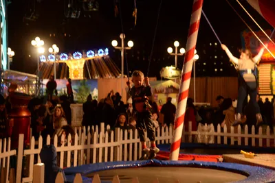 DSC_5568 (Large).JPG